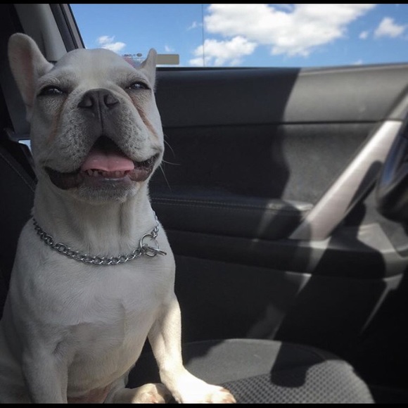 Meet your Posher, Tracie - Picture 3 of 4